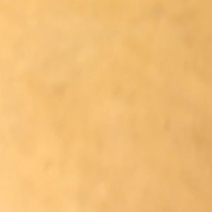 Meet your Posher, Jae